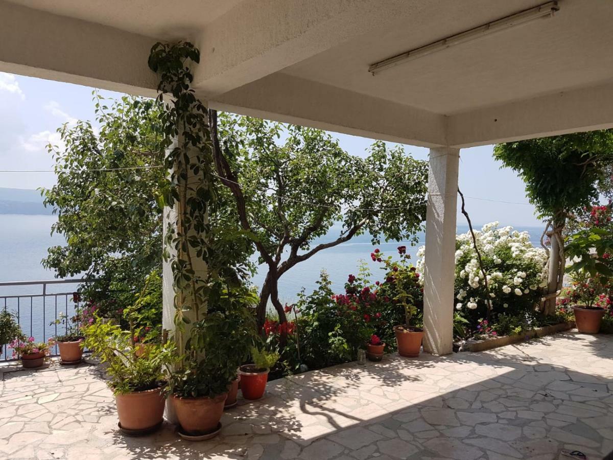 Apartments Kk Celina Εξωτερικό φωτογραφία